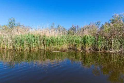 Stubble fields by the river in Evros Delta, Greece Stock Photos