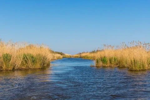 Stubble fields by the river in Evros Delta, Greece Stock Photos