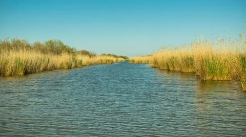 Stubble fields by the river in Evros Delta, Greece Stock Photos