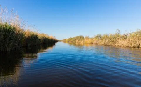 Stubble fields by the river in Evros Delta, Greece Stock Photos