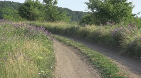 Stubble Vídeos de archivo 8686714