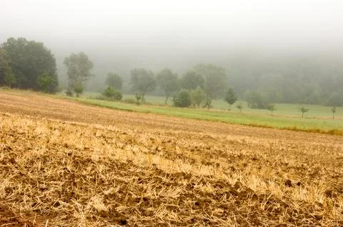 Stubble mulch Stock Photos