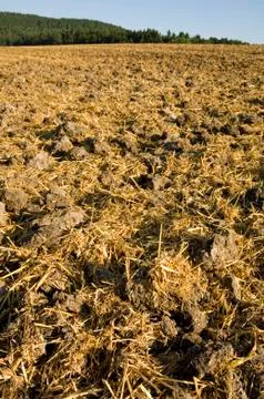 Stubble mulch Stock Photos