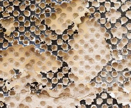 Stucco wall texture Stock Photos