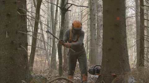 Stuck chainsaw in a tree 動画素材 92891571