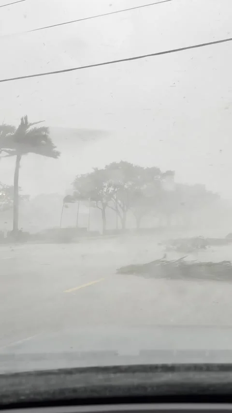 Stuck Inside A Tornado, Palm Beach Gardens, Florida, USA - 29 Apr 2023 Stock Footage 241856143
