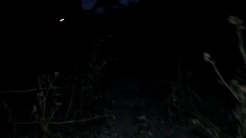 Stuck in the middle of nowhere at night Stock Footage 78843376