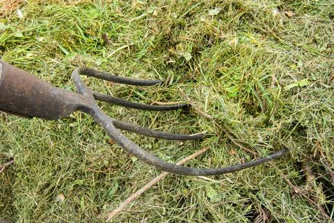 Stuck pitchfork in a haystack. Close-up view Stock Photos