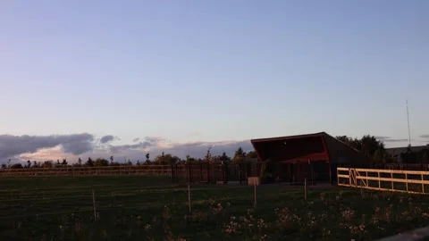 Stud farm building stands on a field Stock Footage 286995396