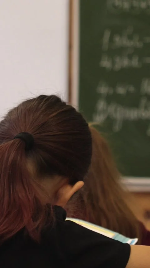 A student attending a classroom lesson in front of a green chalkboard, capt.. Stock Footage 339861390