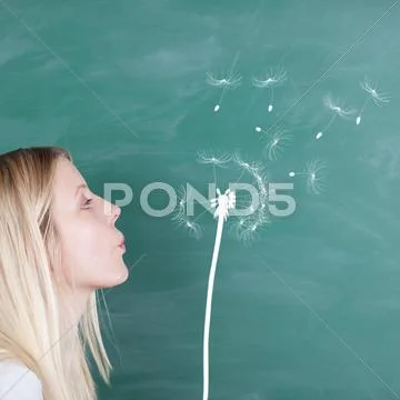 Student blowing dandelion drawn on chalkboard Stock Photos