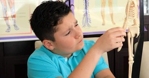 Student boy studying at school 5 스톡 동영상 88653953