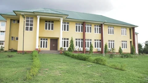 Student building and learning school environment Stock Footage 252364893