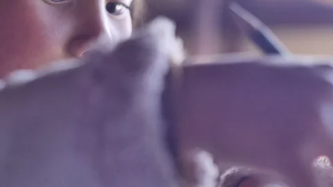 Student  in the Class Stock-Footage 77190485