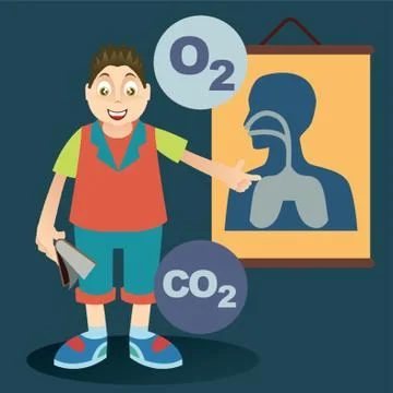 Student Explaining About Human System Stock Illustration