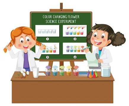Student explaining color changing flower science experiment Stock Illustration