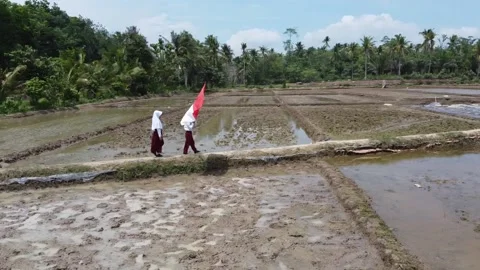 Student flapper Indonesian flag Vídeos de archivo 143976685