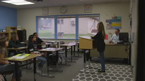Student Gives Presentation To Peers Stock Footage 208734362