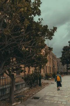 Student going to school Foto stock