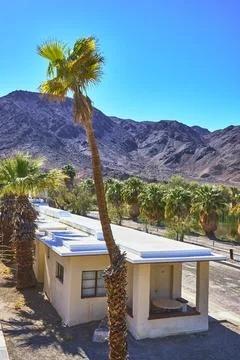 Student Group Desert Study Center Building with Palm Trees Mountains in Zzy.. Stock Photos