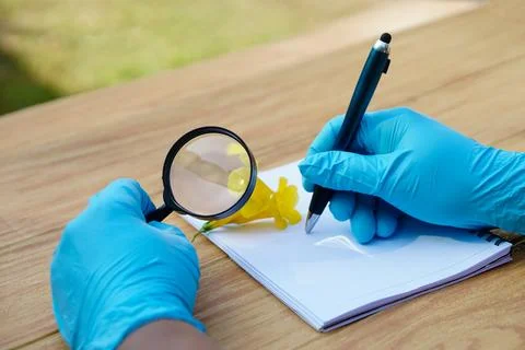 Student  hands in protective gloves hold magnifying glass to inspect flowers, Stock Photos