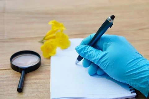 Student  hands in protective gloves hold magnifying glass to inspect flowers, Foto stock
