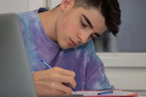 Student at home with computer studying and writing Stock Photos
