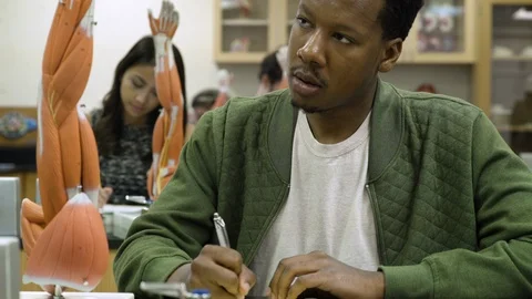 Student learning about anatomical model. 動画素材 88015424