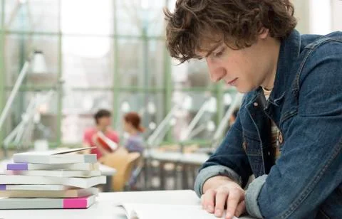 Student learning in a university library Stock Photos
