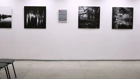 A student makes a face and takes a selfie at an exhibition of black and white ph Stock Footage 114522819