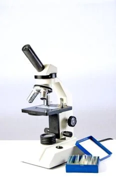 Student Microscope Stock Photos