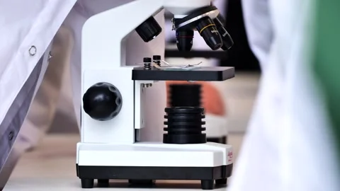 Student observing microscope slide during a science lesson Stock Footage 320494008