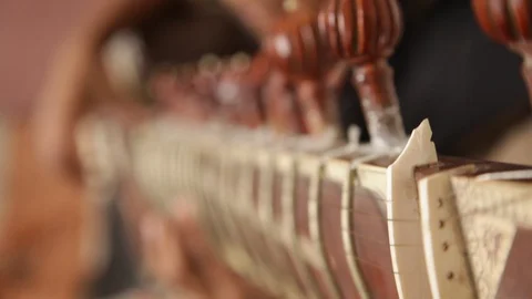 A Student performing and playing Indian traditional musical instrument "Sitar". Видео 112965616