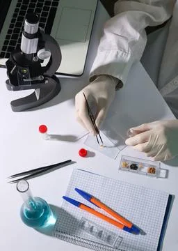 Student Stock Photos