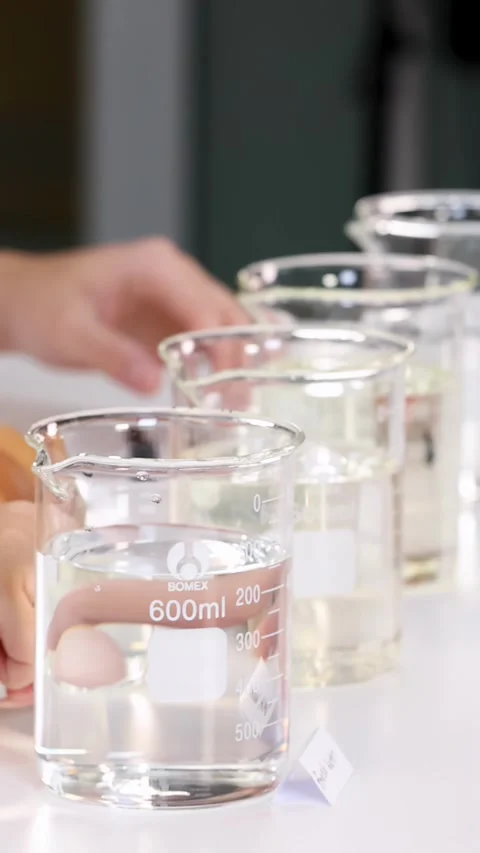 Student Placing Egg Into Glass Beaker During Science Experiment Stock-Footage 344949434