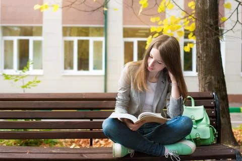 Student reading book on bench Stock Photos