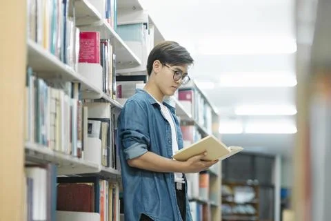 Student reading book at library. Stock Photos