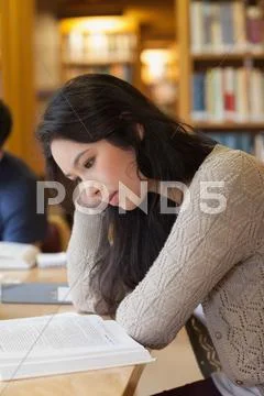 Student reading in a library Stock Photos