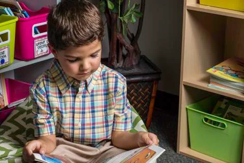 Student reading Stock Photos