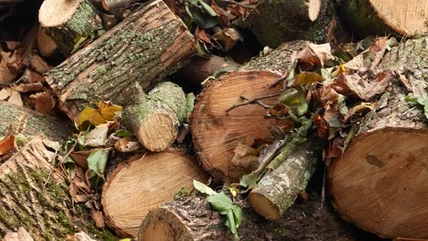 A student on a simulator learns to fly a Boeing plane. Training of future Stock Footage 325567154