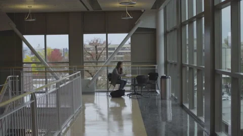 Student Sits Studying On College Campus 스톡 동영상 208720314