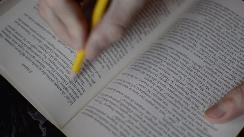 Student study for a literature test. education study on a book. 库存影片 228908629