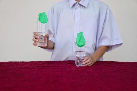 Student study  science experiment, hold two bottles with green balloons Stock Photos