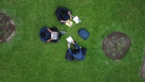 Student Studying Video stock 229600899