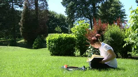 Student studying outdoors Stock Footage 22637763