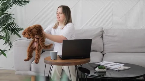Student is taking online training while holding poodle and listening to lecture Stock Footage 267597098