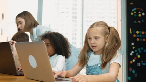 Student use laptop writing code while teacher explain about program. Erudition. Stock Footage 272493398