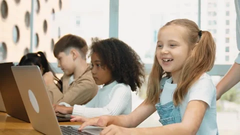 Student use laptop writing code while teacher explain about program. Erudition. Stock Footage 274159340