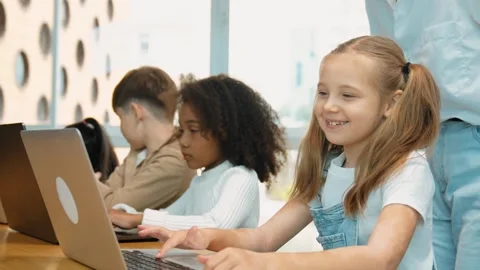 Student use laptop writing code while teacher explain about program. Erudition. Stock Footage 295433977