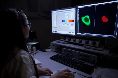 Student using computer in lab university campus Stock Photos